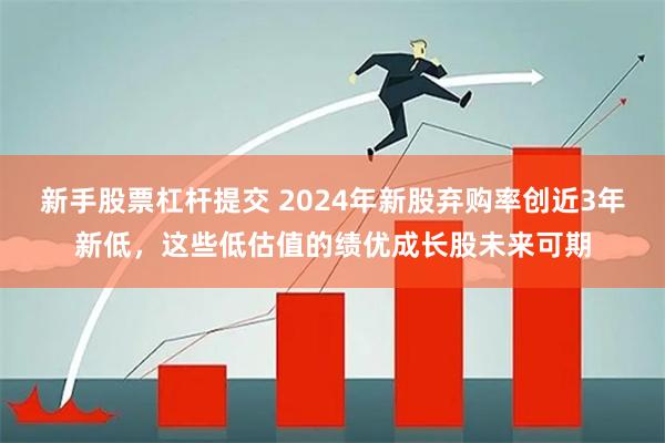 新手股票杠杆提交 2024年新股弃购率创近3年新低，这些低估值的绩优成长股未来可期