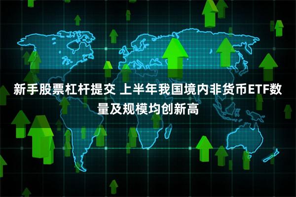 新手股票杠杆提交 上半年我国境内非货币ETF数量及规模均创新高