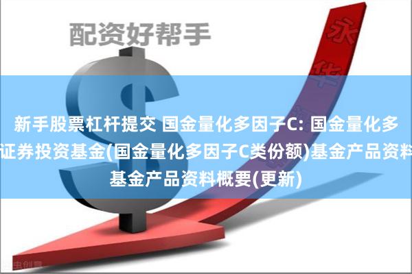 新手股票杠杆提交 国金量化多因子C: 国金量化多因子股票型证券投资基金(国金量化多因子C类份额)基金产品资料概要(更新)