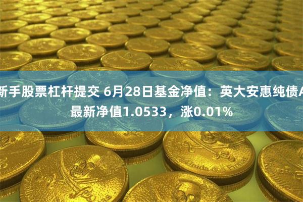 新手股票杠杆提交 6月28日基金净值：英大安惠纯债A最新净值1.0533，涨0.01%