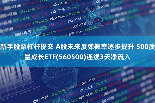 新手股票杠杆提交 A股未来反弹概率逐步提升 500质量成长ETF(560500)连续3天净流入