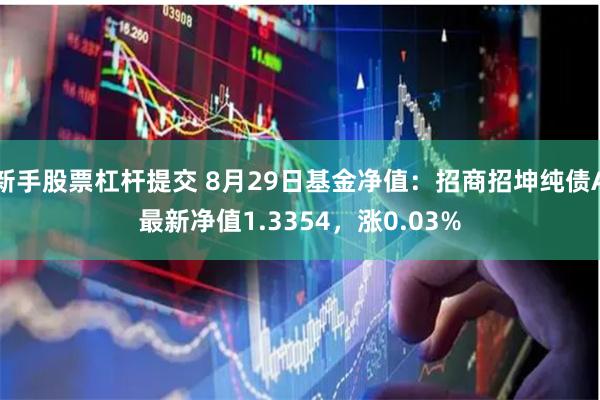 新手股票杠杆提交 8月29日基金净值：招商招坤纯债A最新净值1.3354，涨0.03%